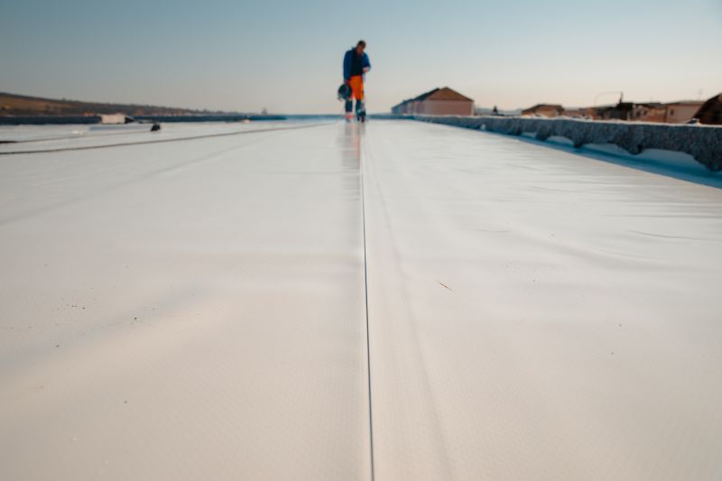 Professional Rubber Roof Installer